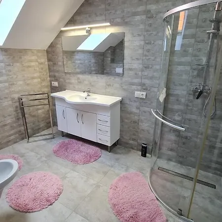 Apartment Melux Airport House Nicolesti