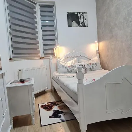 Melux Airport House Nicolesti